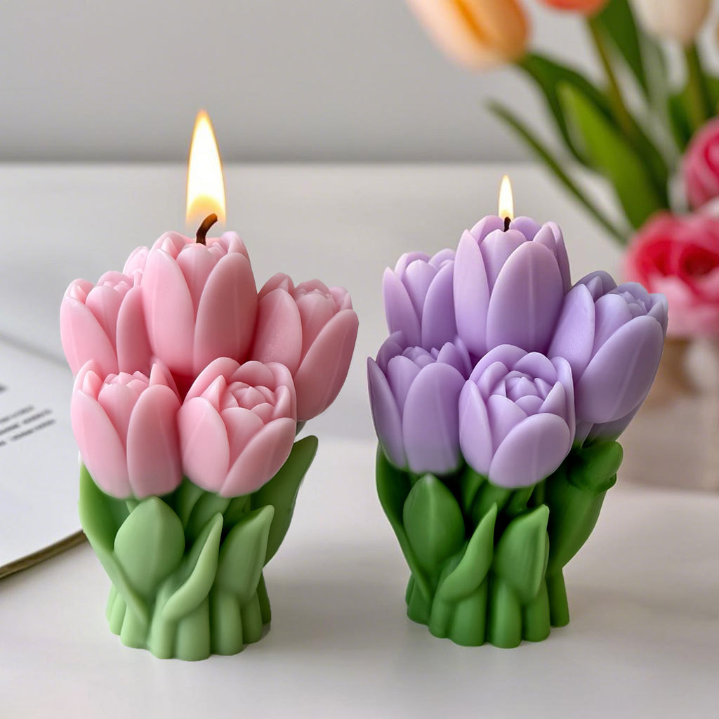 Valentinstag Geschenk Tulpe Bo – Soap Making Gifts Bewertung und Preis
