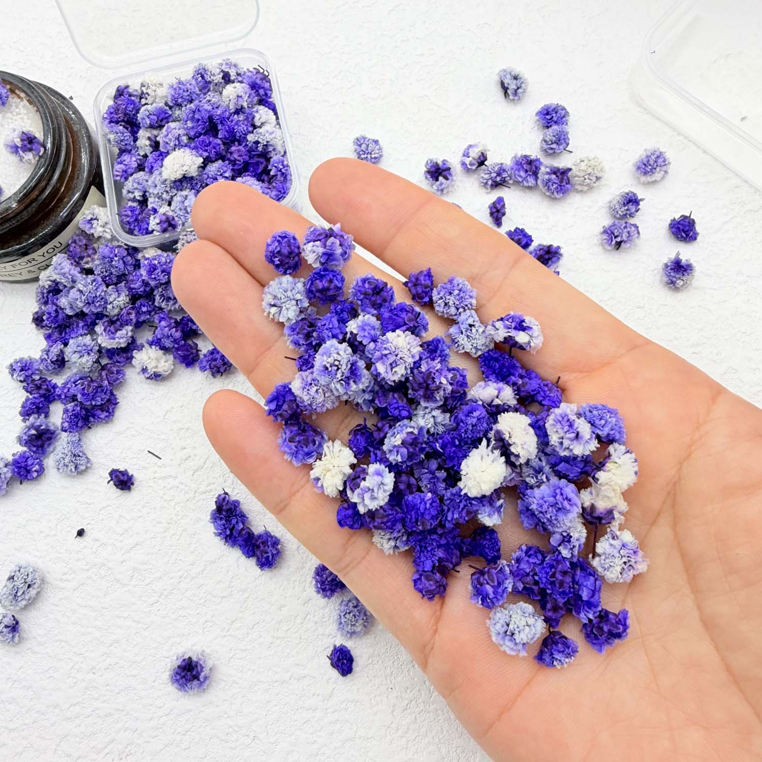 1 Box Blütenköpfe für DIY Hand – Soap Making Books Bewertung und Preis